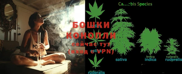 Альфа ПВП Бородино