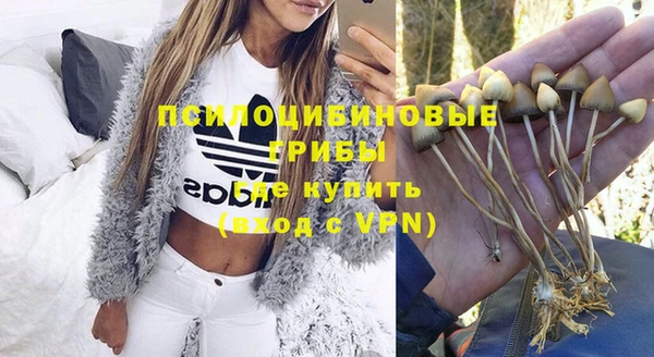 Альфа ПВП Бородино