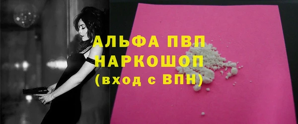 Альфа ПВП Бородино