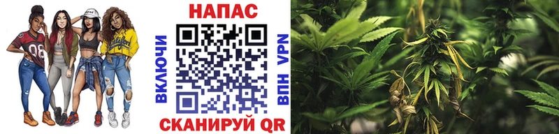 МАРИХУАНА OG Kush  Купить где  Мантурово 